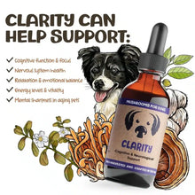 Load image into Gallery viewer, Mycodog - Clarity - 2 oz