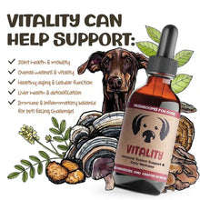 Load image into Gallery viewer, Mycodog - Vitality - 2 oz