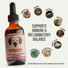 Load image into Gallery viewer, Mycodog - Vitality - 2 oz